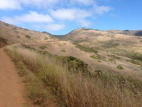 marin_headlands04