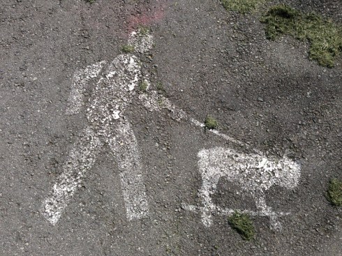 duckworth_skateboard